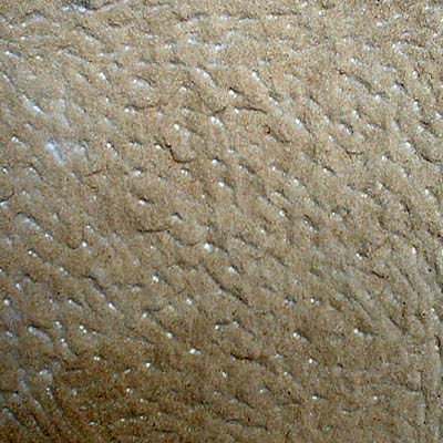 Żerkowice Szpicowany